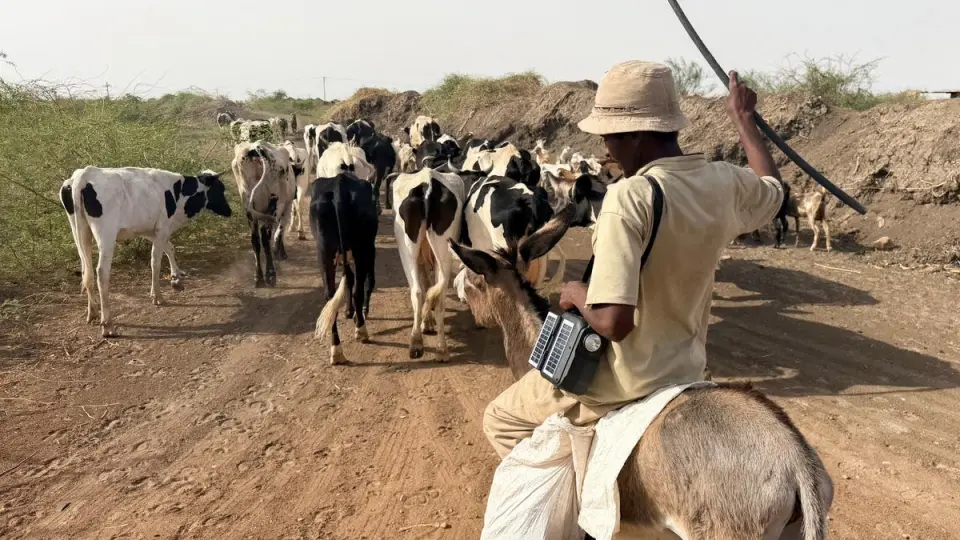 الجيش السوداني: صد هجوم للدعم السريع بـ250 عربة قتالية