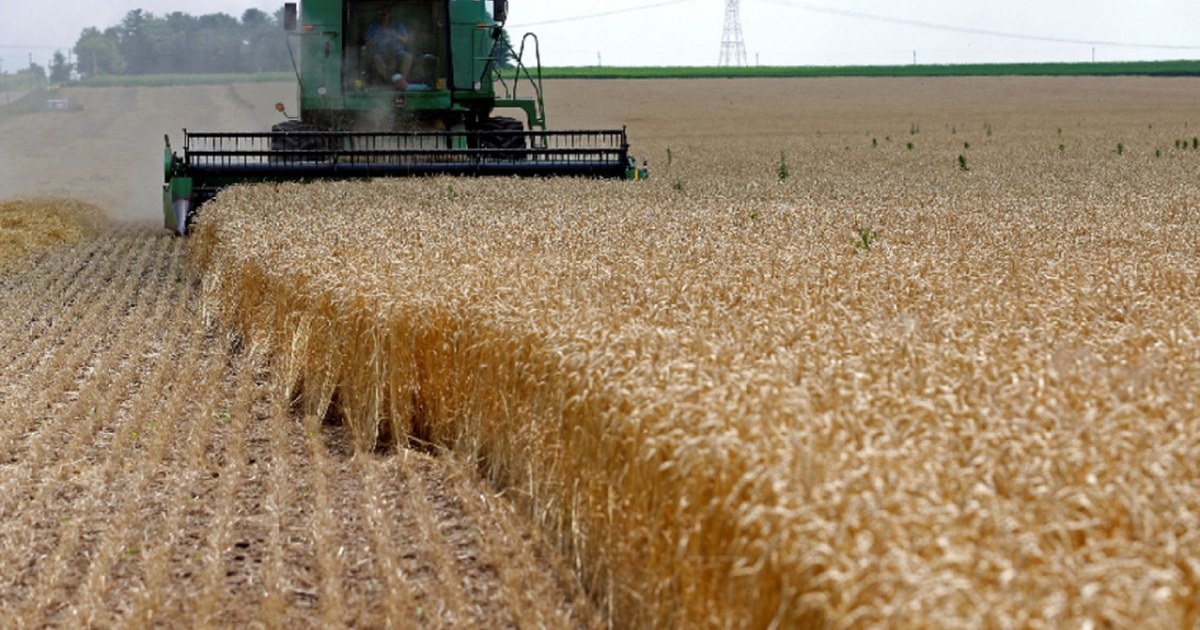 10 دول فقط تضم ثلثي المتضررين من الأزمات الغذائية في العالم