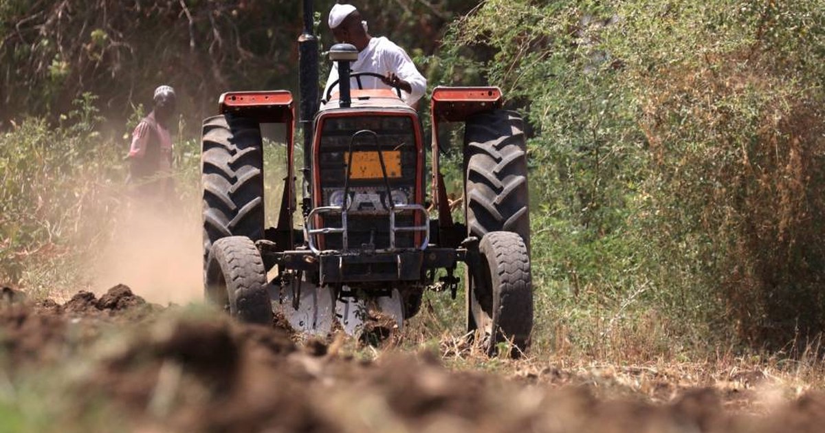 السودان وحلم إنقاذ فجوة الغذاء العالمية