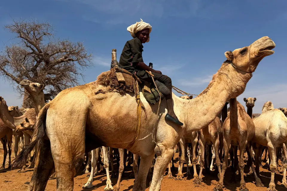"الآن حدنا الأبيّض".. الأرض تضيق ببدو السودان بسبب الحرب