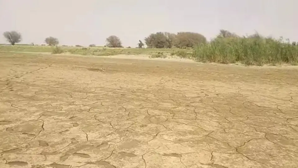 السودان يواجه خطر المجاعة مع تأخر هطول الأمطار